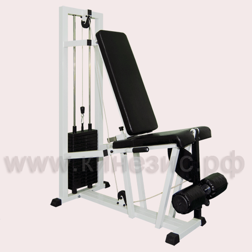 Разгибатель - №20 (80 кг)