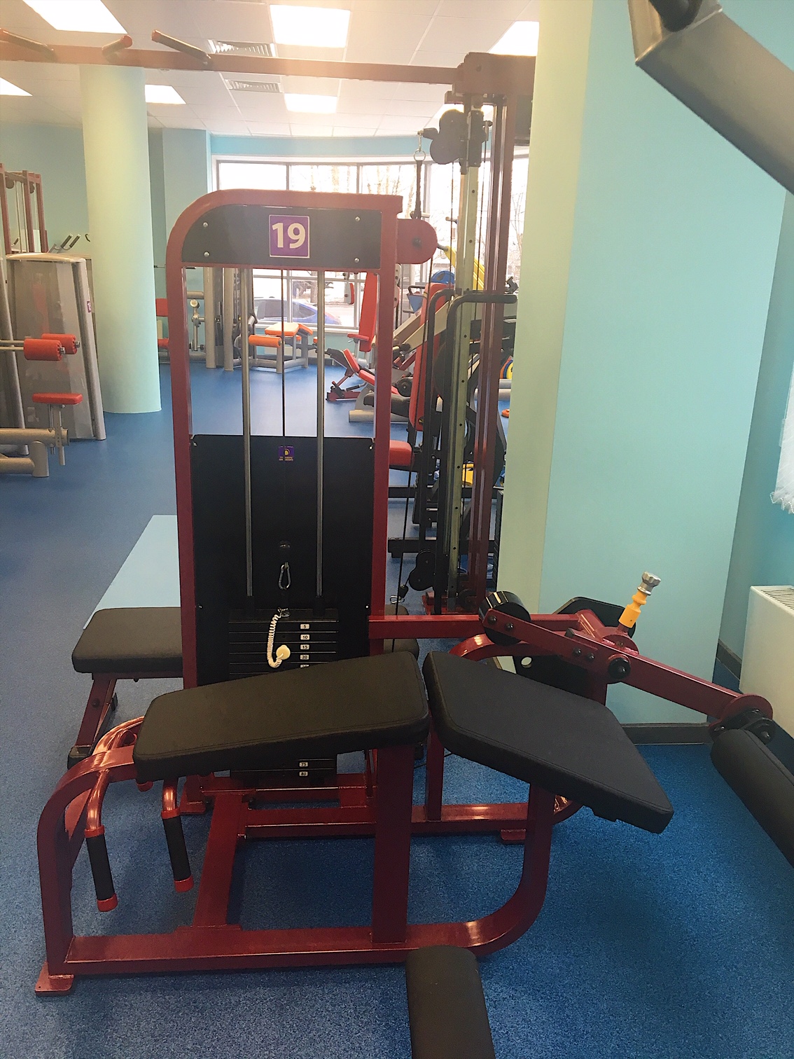 Бицепс бедра №19 ПРОФИ (60 кг)