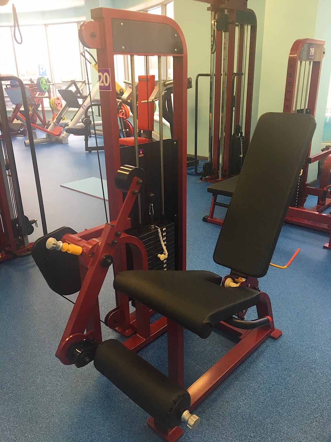 Разгибатель №20 ПРОФИ (80 кг)